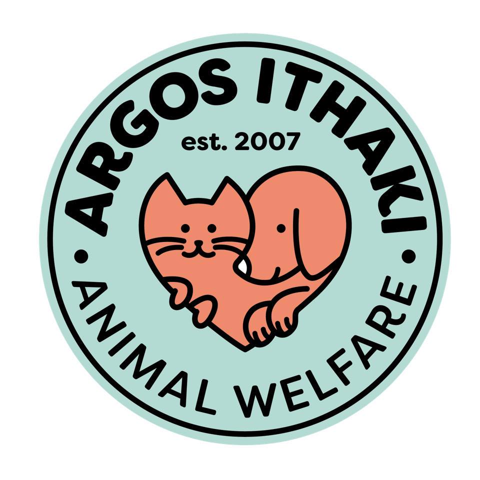 279564527 1906780612851398 5837269609556918949 n