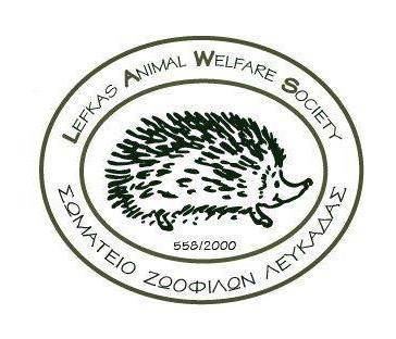 309052190 460663349424844 8981126811294086959 n 1