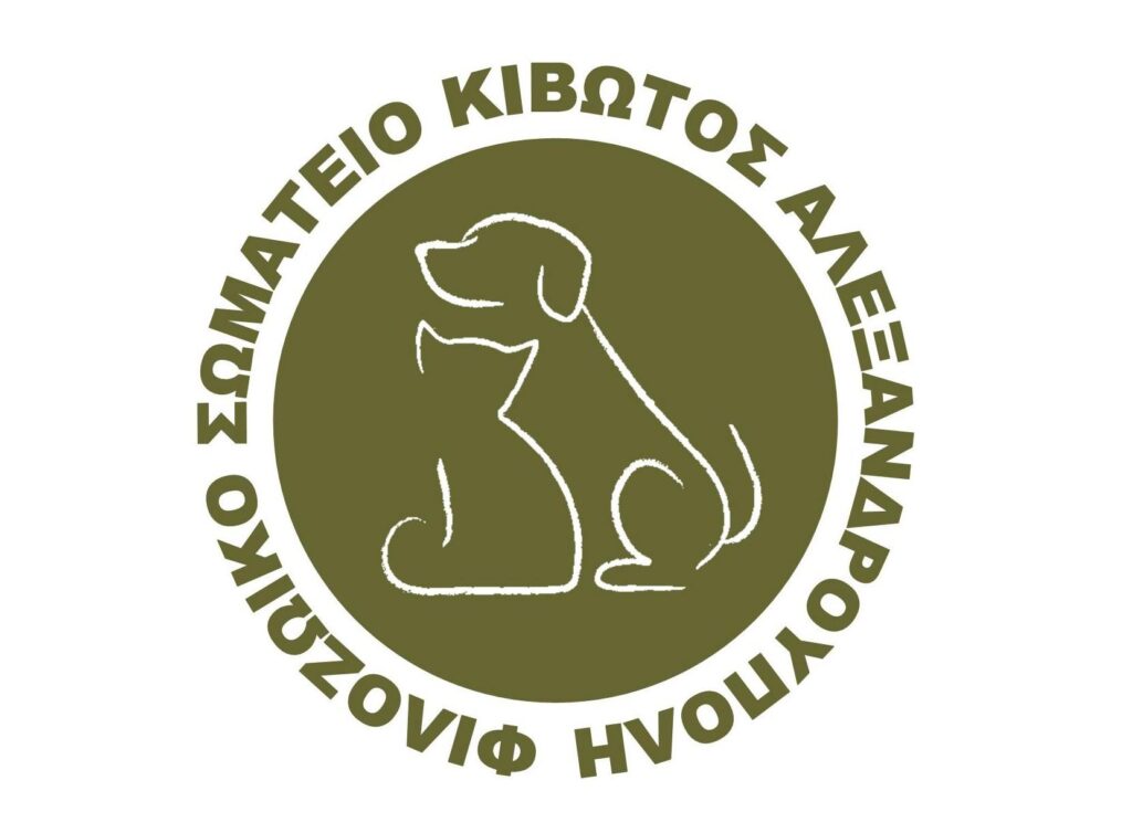 326333780 1222969238310586 4885051549643378390 n 1 1024x754