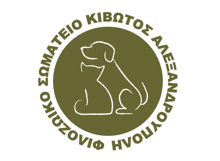 326333780 1222969238310586 4885051549643378390 n 1 768x565