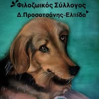 347419093 242702395042164 3062366895352859653 n