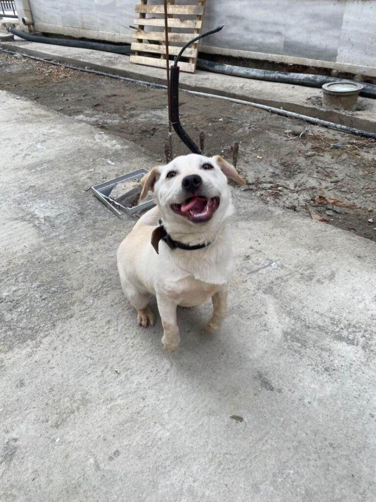 480884050 1027234382767193 6517663659334749943 n 768x1025