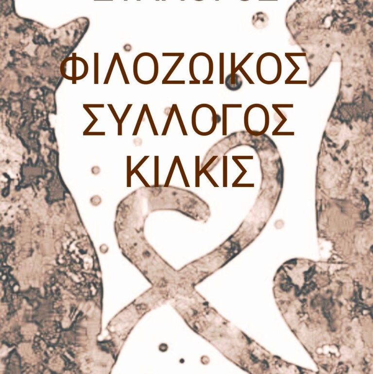 481356138 650975313991610 629903454132766032 n 768x770