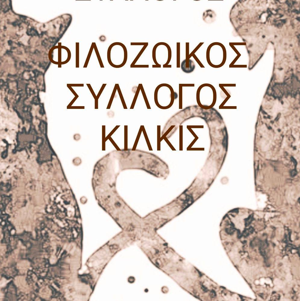 481356138 650975313991610 629903454132766032 n