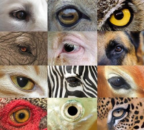 560095916 10231817355276901 90805363618401168 n