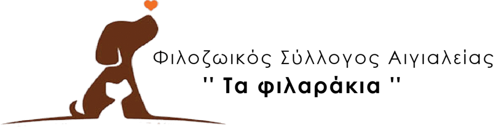 logo header 2024 1 1024x262