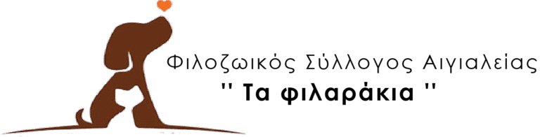 logo header 2024 1 768x196