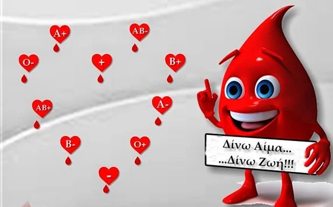 aimodosia 2 1
